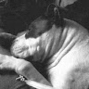 Meet your Posher, Carly